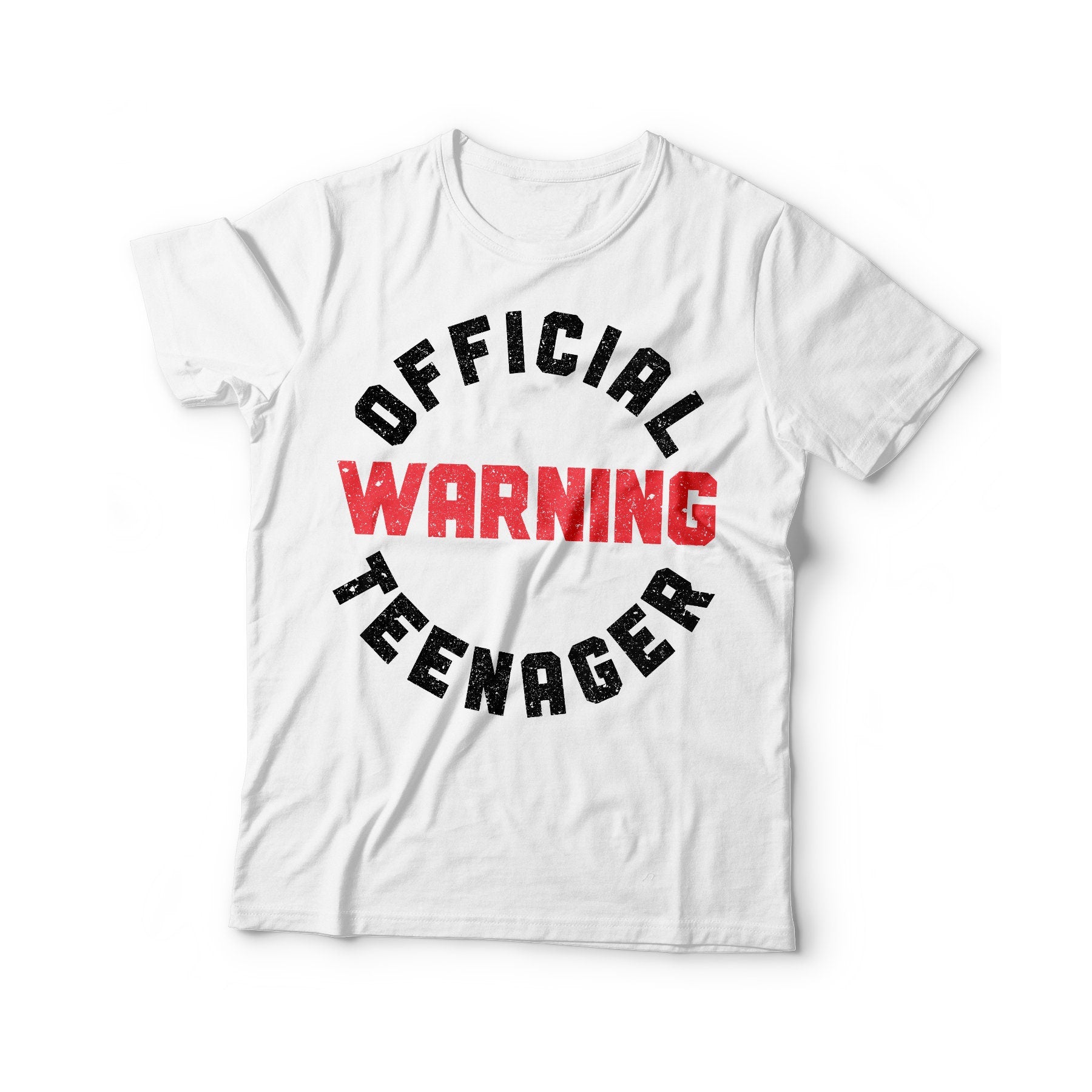 Warning Official Teenager T-Shirt - Unisex Funny 13th Birthday Boy Shirt - 13 Years Old Gift Born in 2012 TShirt for BDay Party