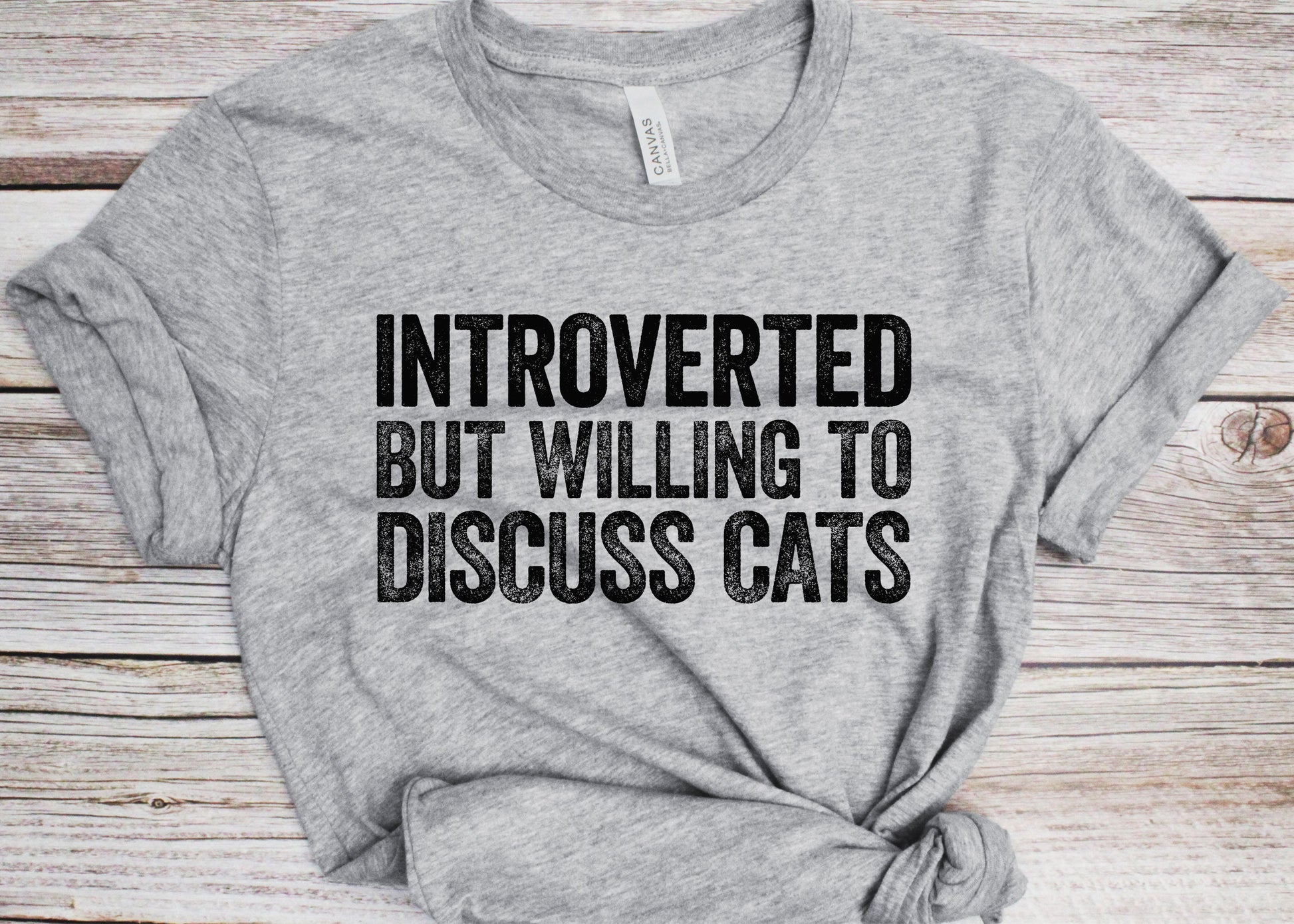 Introverted But Willing To Discuss Cats T-Shirt - Unisex Funny Introvert Cat Owner Shirt - Vintage Cats Lover Gift TShirt for Birthday