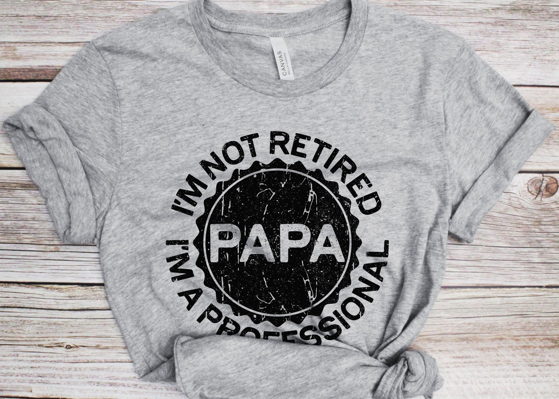 I'm Not Retired I'm A Professional Papa T-Shirt - Funny Mens Best Grandpa Ever Shirt - Vintage Papa TShirt for Father's Day Christmas